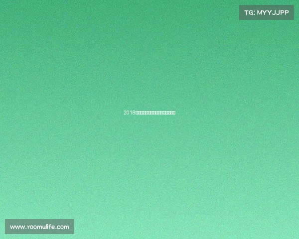 2018火箭队辉煌赛季征程巅峰时刻全纪录 2018火箭队辉煌赛季征程巅峰时刻全纪录