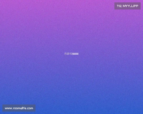 f12013中国站正赛