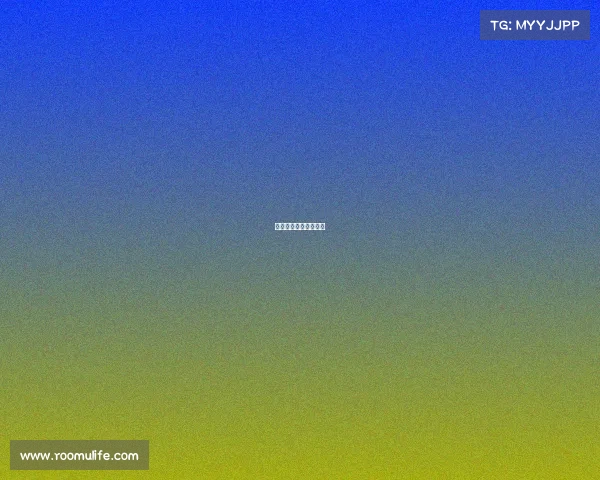 国内拉力赛赛事有哪些