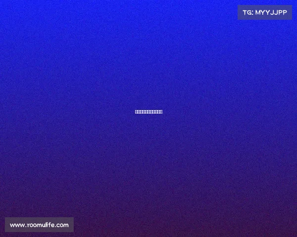 全运会天津女排最新消息